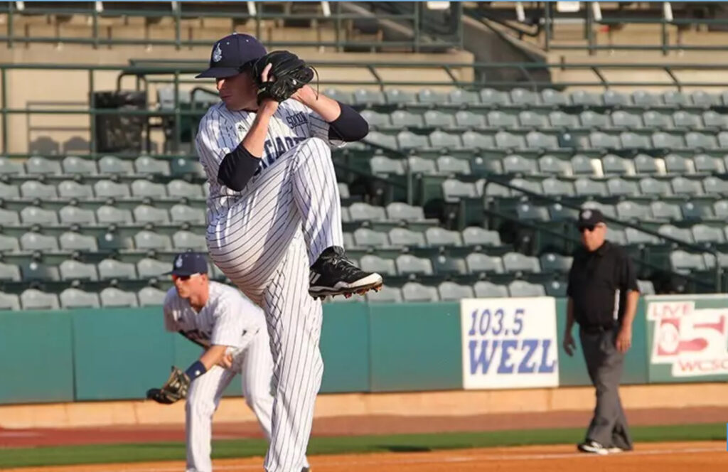 The Citadel Bulldogs professional baseball