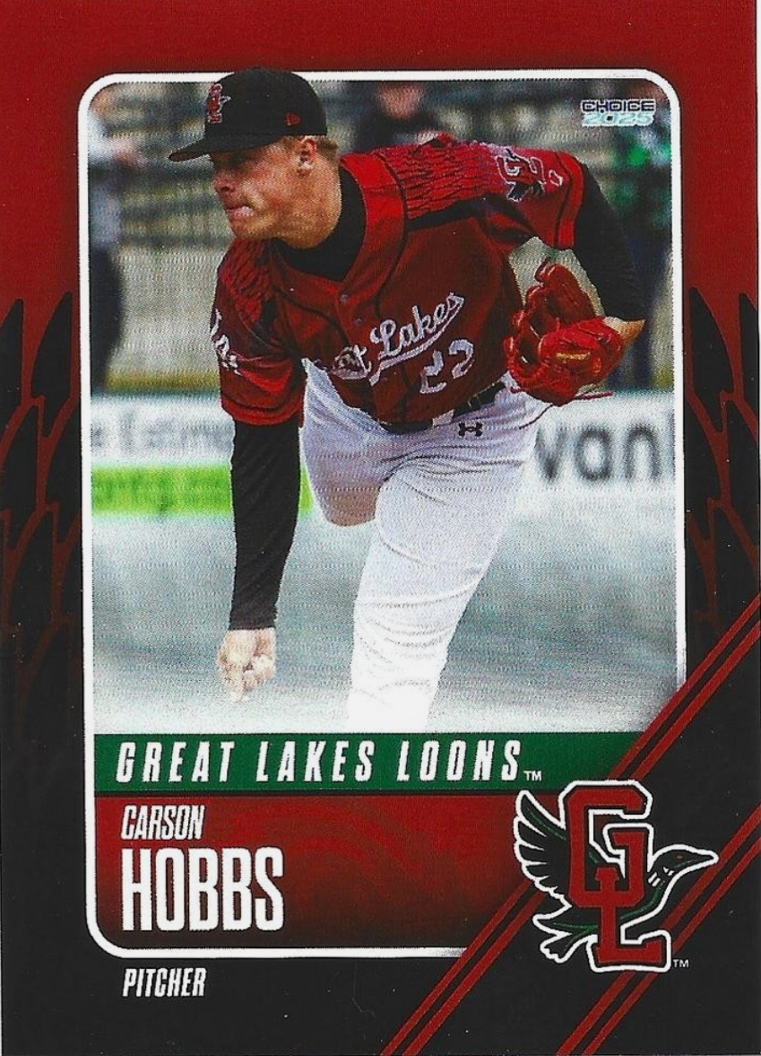 Samford Bulldogs in pro baseball