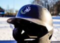 Wofford Terriers in professional baseball.